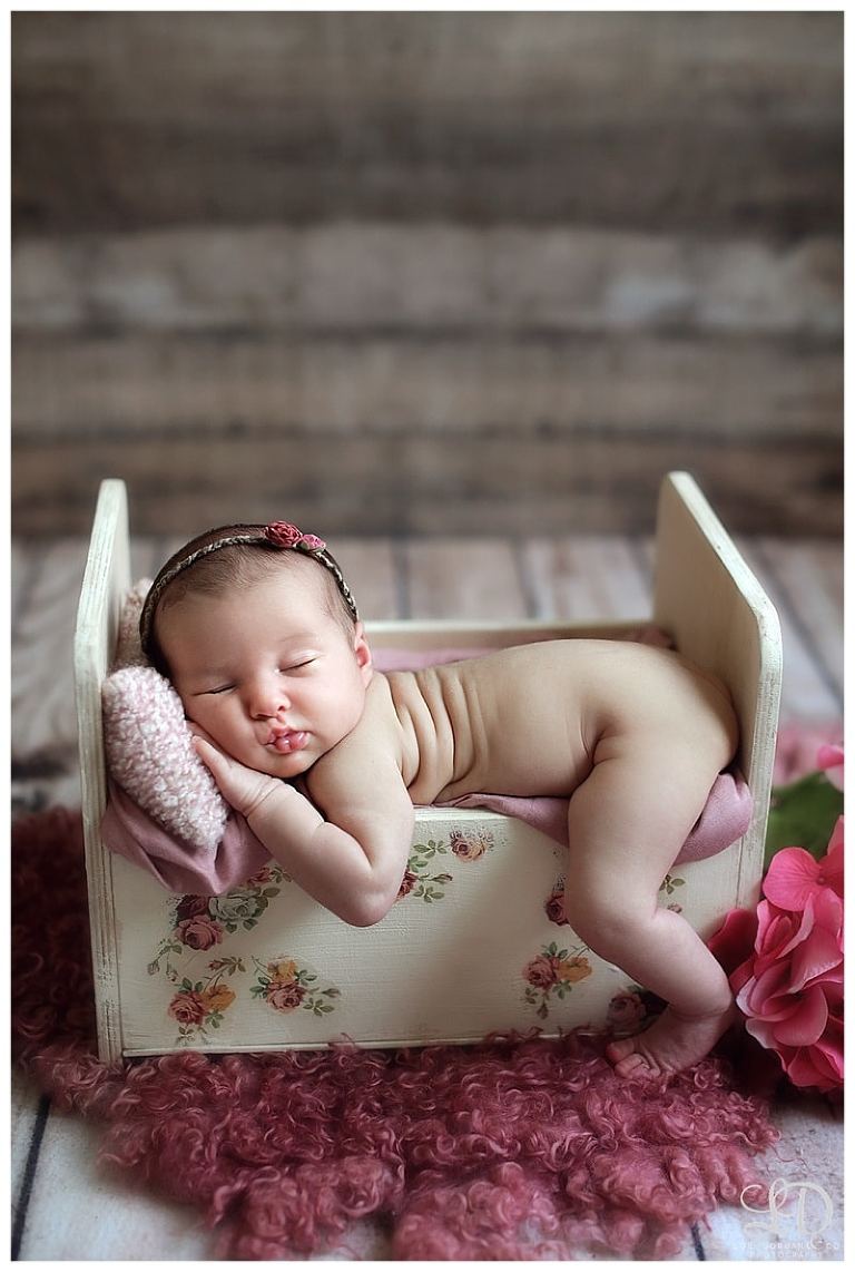 sweet-home newborn-baby girl-lori dorman photography_0340.jpg