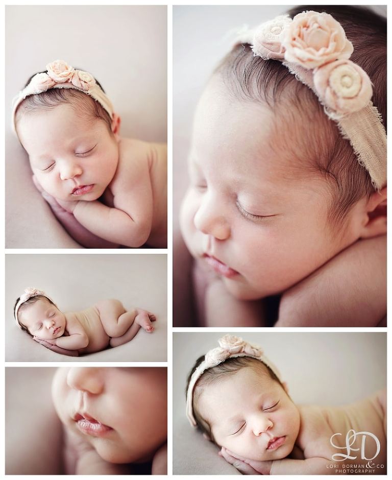sweet newborn photoshoot-lori dorman photography_0823.jpg
