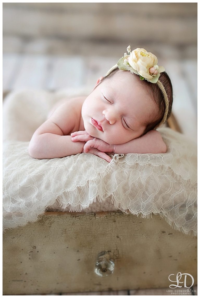 sweet newborn photoshoot-lori dorman photography_0832.jpg