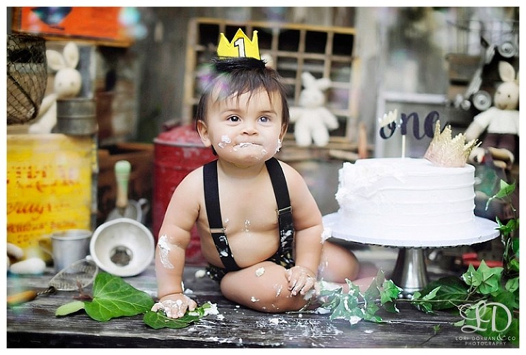 adorable cake smash photoshoot-baby boy one year birthday photoshoot-lori dorman photography_0708.jpg