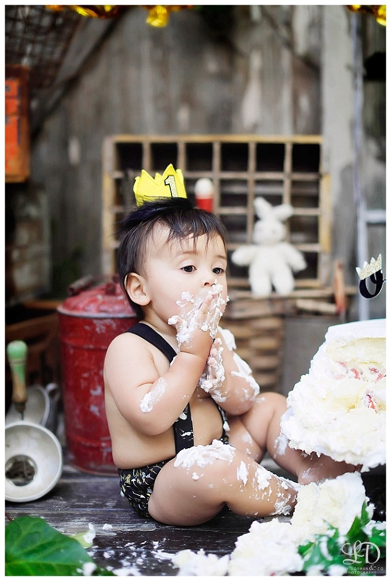 adorable cake smash photoshoot-baby boy one year birthday photoshoot-lori dorman photography_0725.jpg