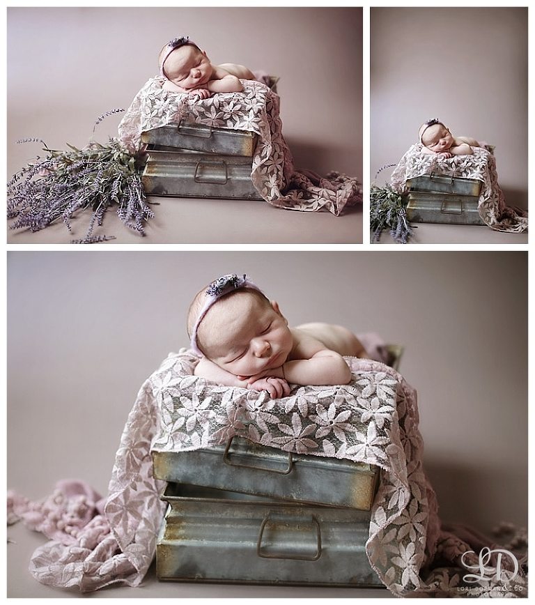 adorable newborn photography session-studio newborn session-lori dorman photography-newborn girl with brother_0096.jpg