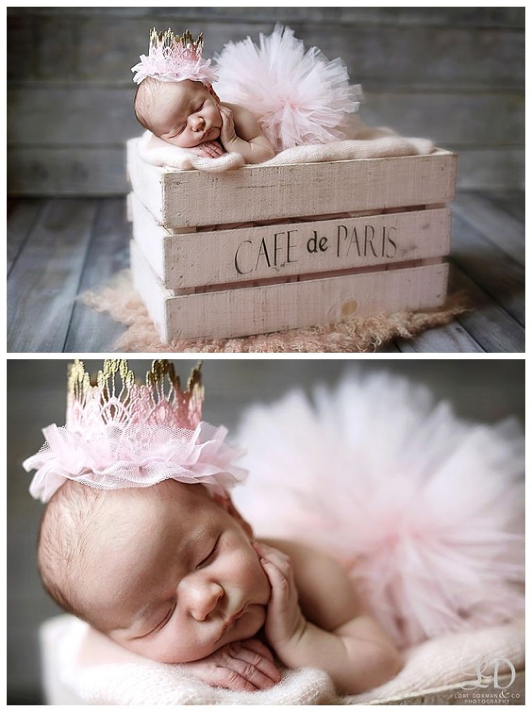 adorable newborn photography session-studio newborn session-lori dorman photography-newborn girl with brother_0101.jpg