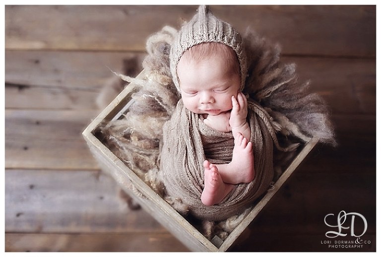 adorable newborn photoshoot-lori dorman photography_0324.jpg