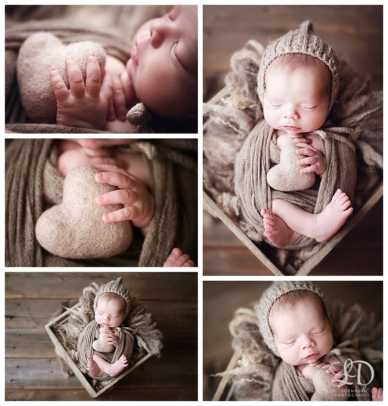 adorable newborn photoshoot-lori dorman photography_0326.jpg adorable newborn photoshoot-lori dorman photography_0326.jpg