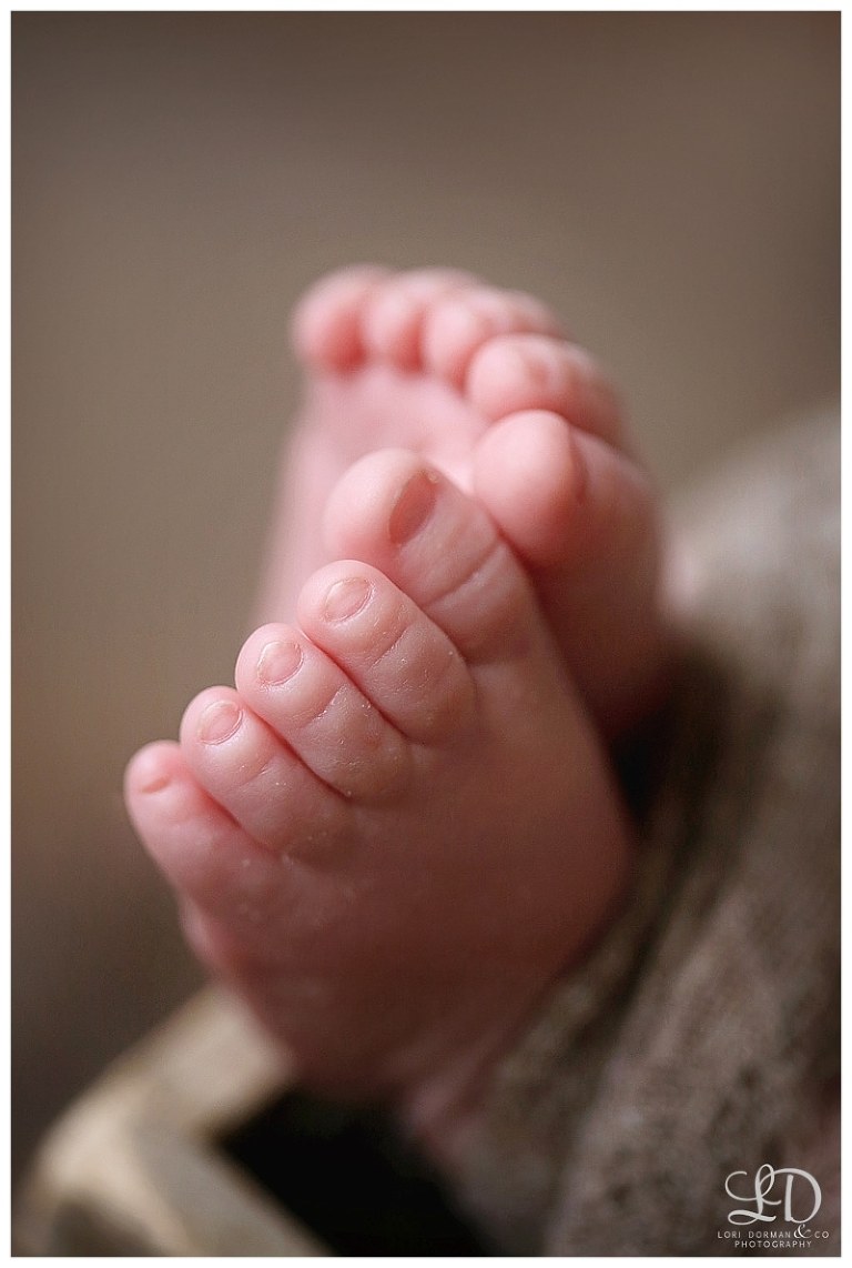 adorable newborn photoshoot-lori dorman photography_0327.jpg