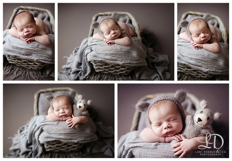 adorable newborn photoshoot-lori dorman photography_0331.jpg
