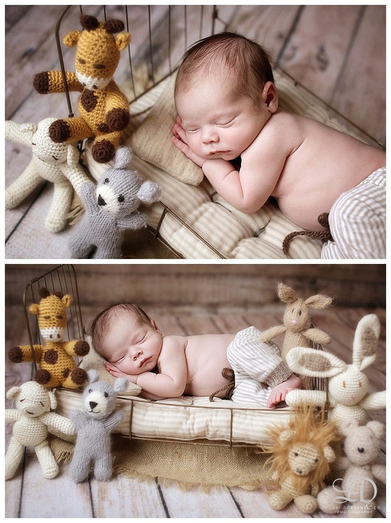 adorable newborn photoshoot-lori dorman photography_0334.jpg adorable newborn photoshoot-lori dorman photography_0334.jpg