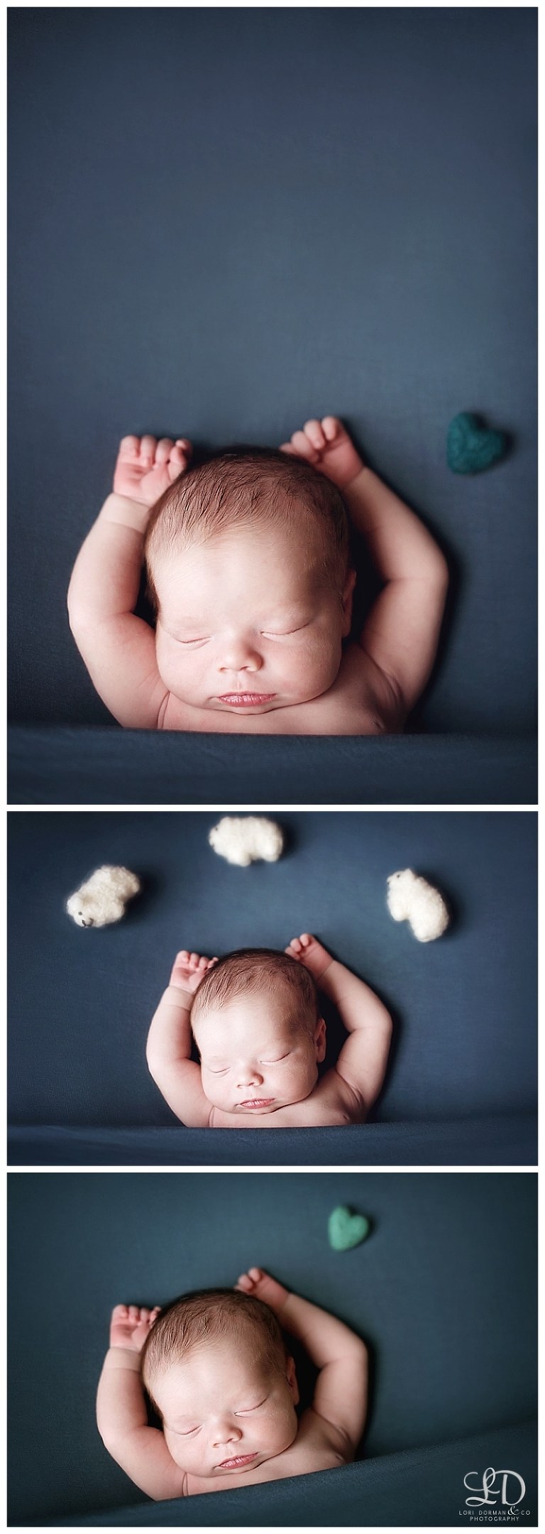 adorable newborn photoshoot-lori dorman photography_0337.jpg