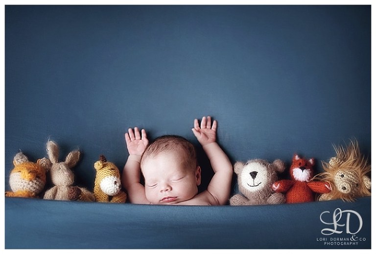 adorable newborn photoshoot-lori dorman photography_0338.jpg