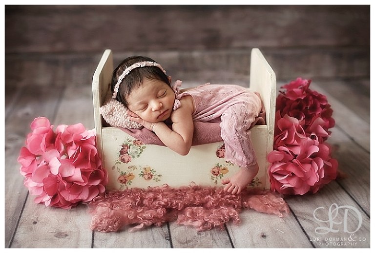 beautiful home newborn-lori dorman photography-newborn girl_0265.jpg