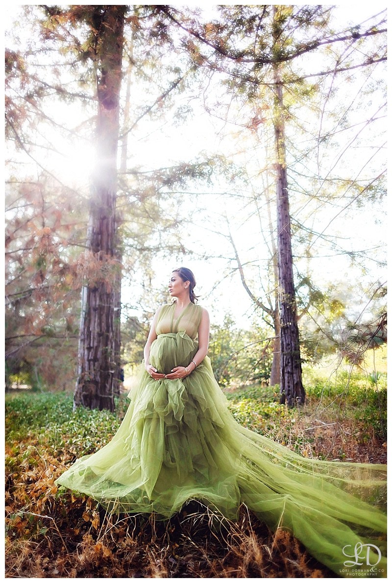 fantasy maternity photoshoot-magical maternity photoshoot-lori dorman photography_0382.jpg fantasy maternity photoshoot-magical maternity photoshoot-lori dorman photography_0382.jpg