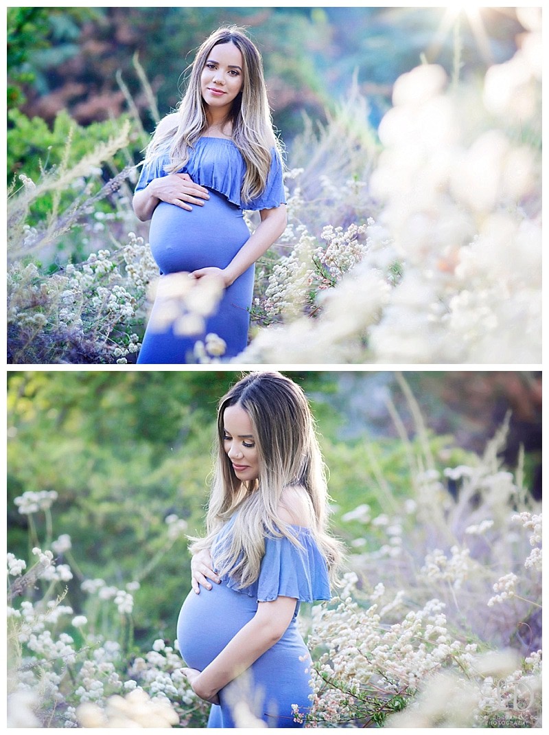 glamorous maternity photoshoot-magical maternity photoshoot-lori dorman photography_0427.jpg
