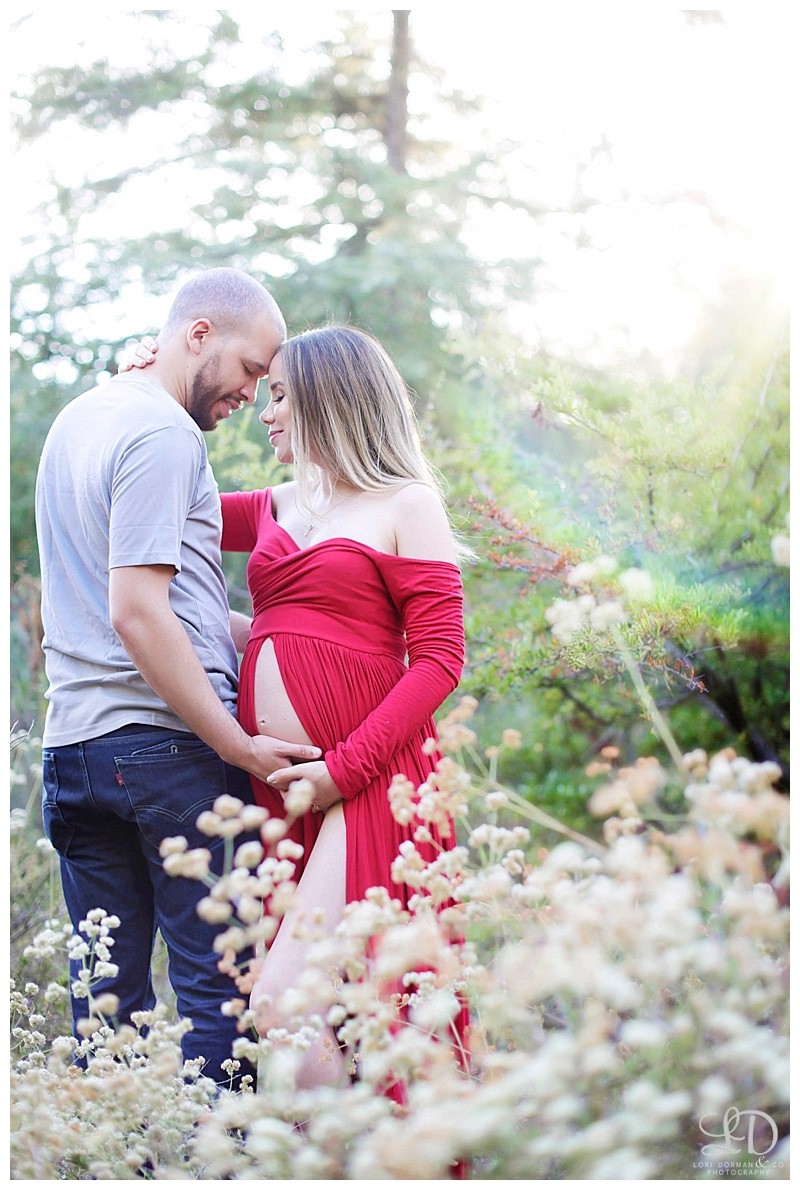 glamorous maternity photoshoot-magical maternity photoshoot-lori dorman photography_0428.jpg