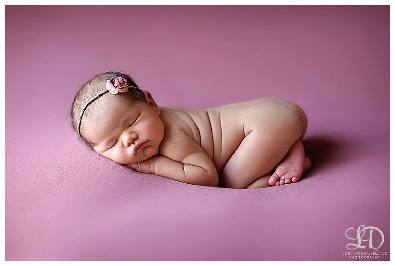 sweet newborn girl photoshoot-baby and sister photoshoot-lori dorman photography_0602.jpg