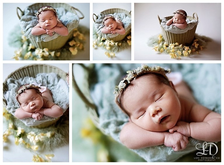 sweet newborn girl photoshoot-baby and sister photoshoot-lori dorman photography_0604.jpg