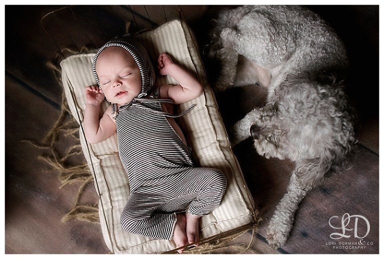 adorable boy newborn-baby photographer-professional photographer-lori dorman photography_1695.jpg