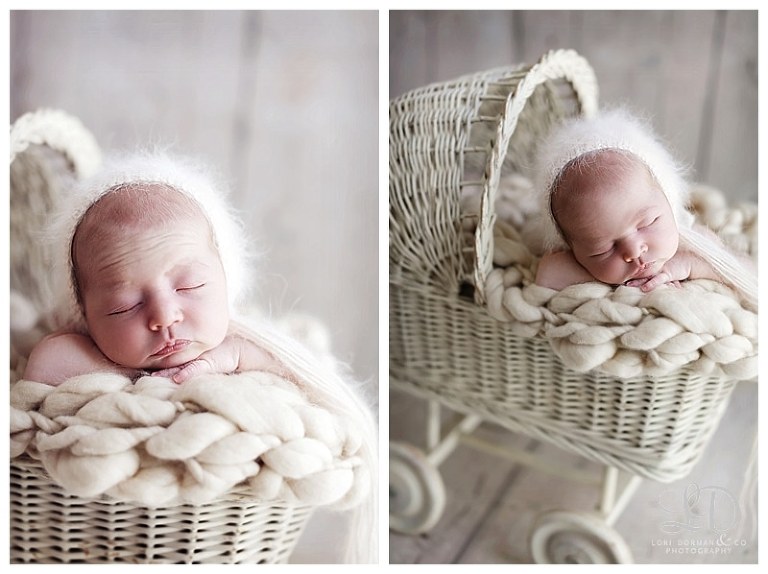 adorable girl newborn-baby photographer-professional photographer-lori dorman photography_1718.jpg