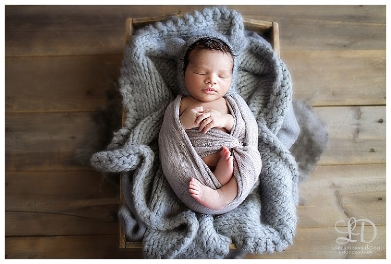 adorable newborn photoshoot-lori dorman photography-professional photographer-baby photographer_1524.jpg