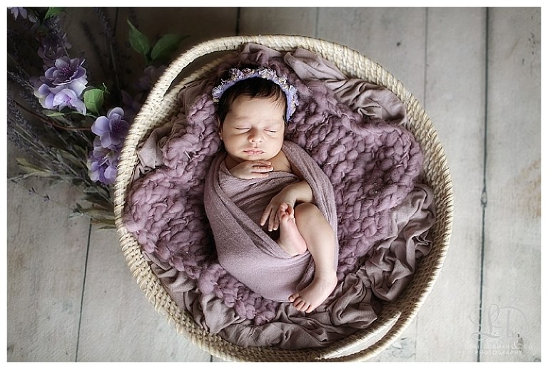 adorable twin newborns-baby photographer-professional photographer-twin shoot-lori dorman photography_1688.jpg