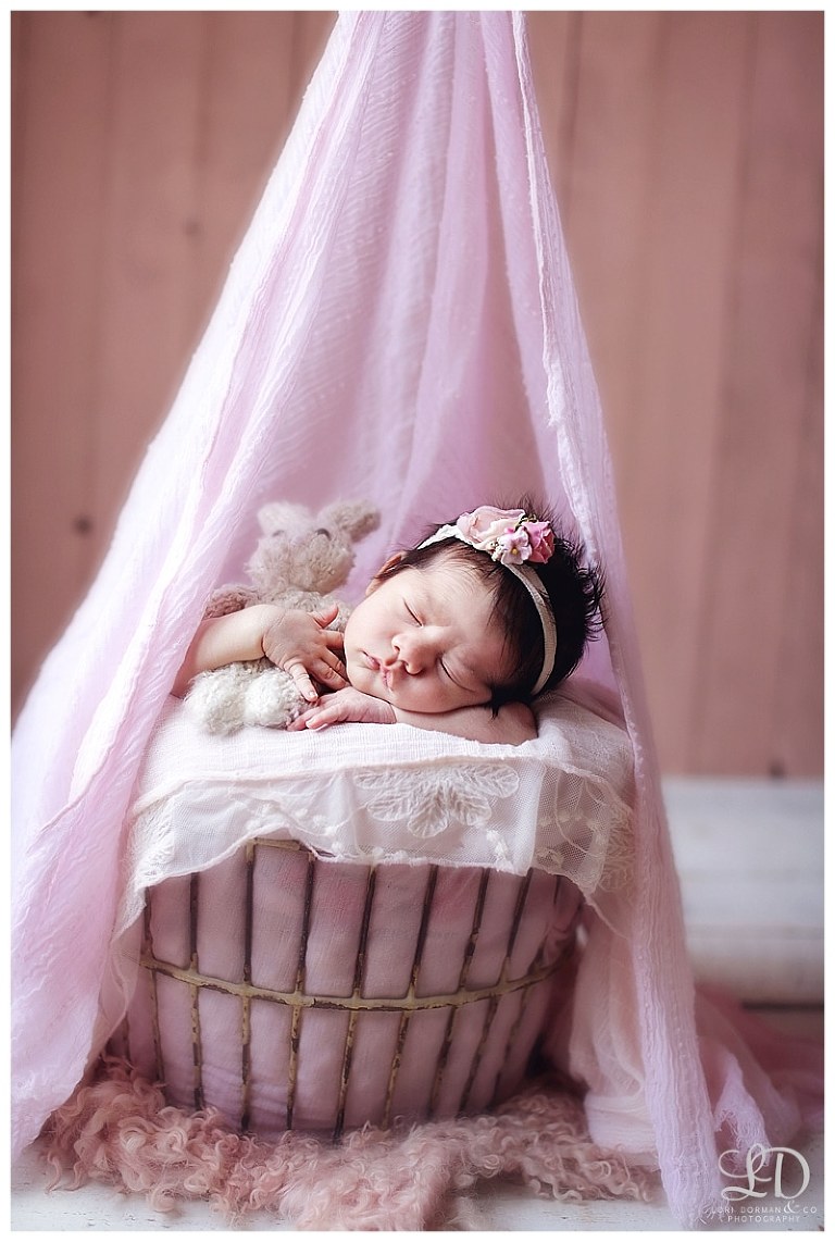 beautiful newborn photoshoot-lori dorman photography-professional photographer-baby girl_1466.jpg