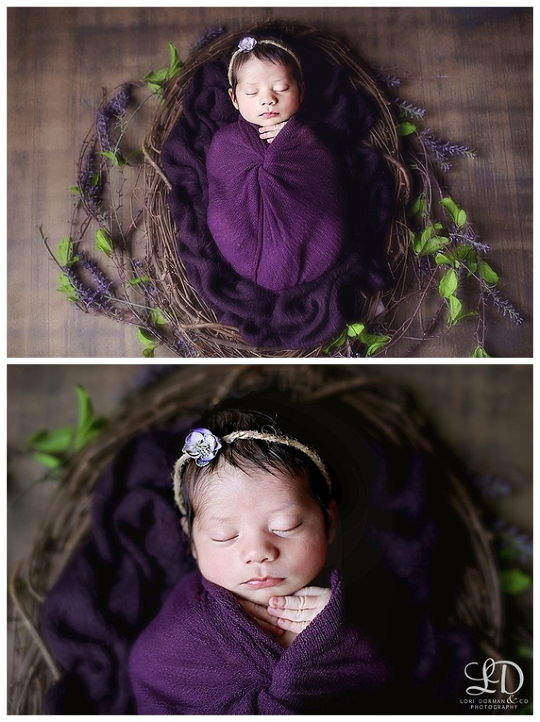 beautiful newborn photoshoot-lori dorman photography-professional photographer-baby girl_1467.jpg