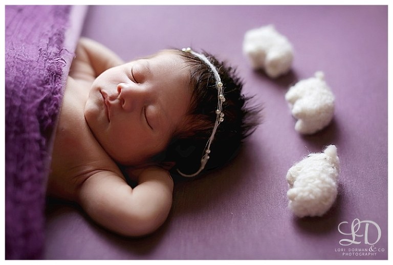 beautiful newborn photoshoot-lori dorman photography-professional photographer-baby girl_1480.jpg