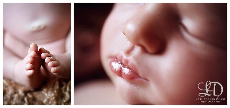 beautiful newborn photoshoot-lori dorman photography-professional photographer-baby photographer_1455.jpg