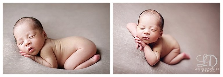 beautiful newborn photoshoot-professional photographer-lori dorman photography_1165.jpg