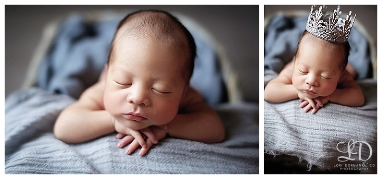 beautiful newborn photoshoot-professional photographer-lori dorman photography_1179.jpg