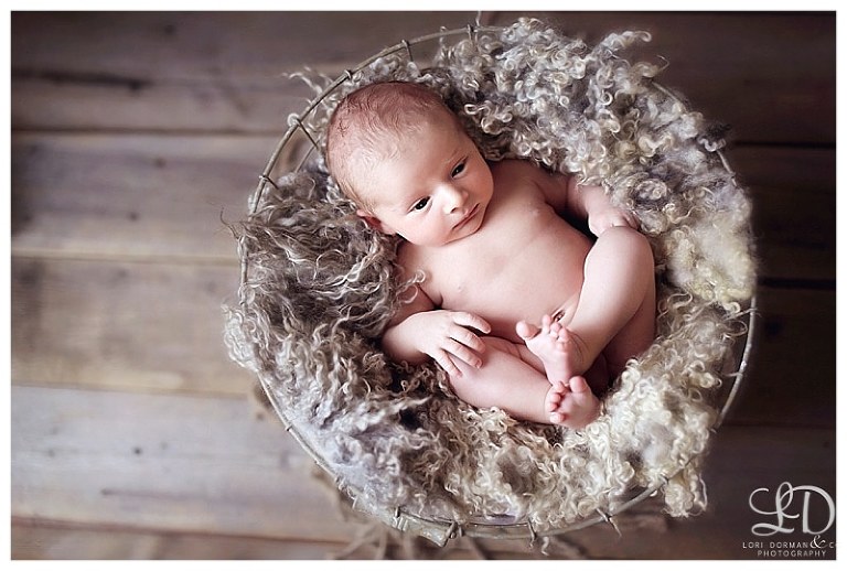 newborn photography session-family newborn-family photography-lori dorman photography_0979.jpg
