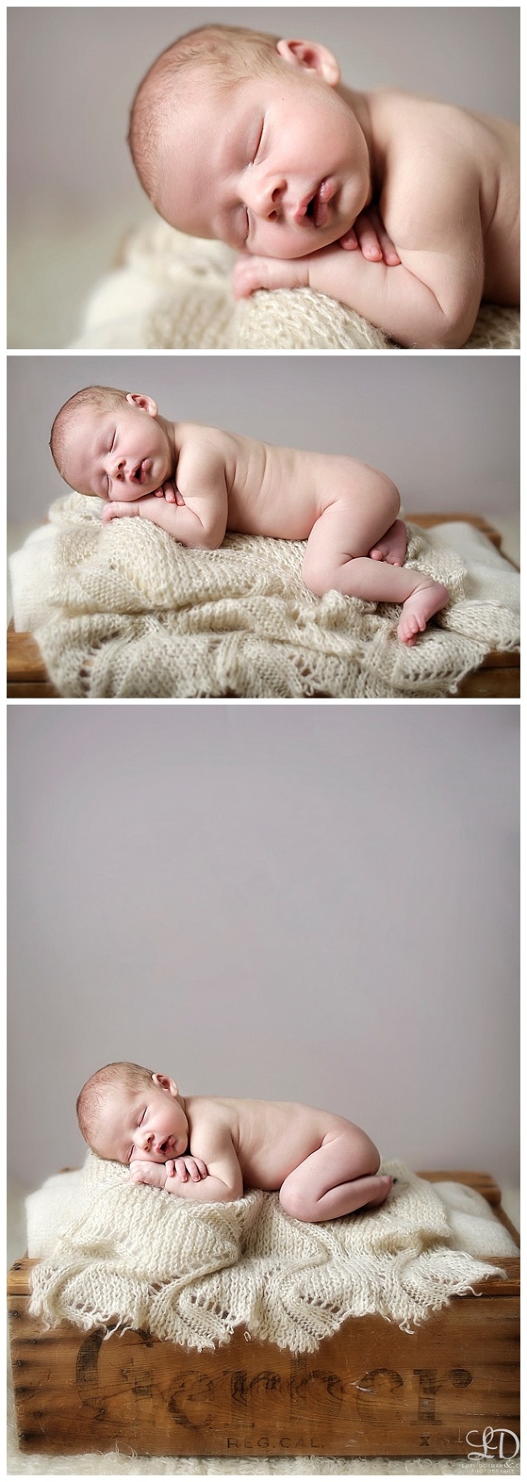 newborn photography session-family newborn-family photography-lori dorman photography_0980.jpg