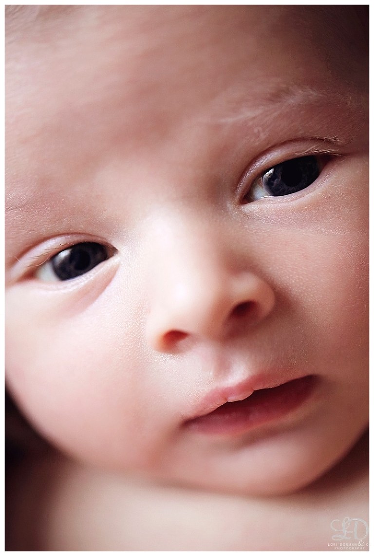 newborn photography session-family newborn-family photography-lori dorman photography_0986.jpg