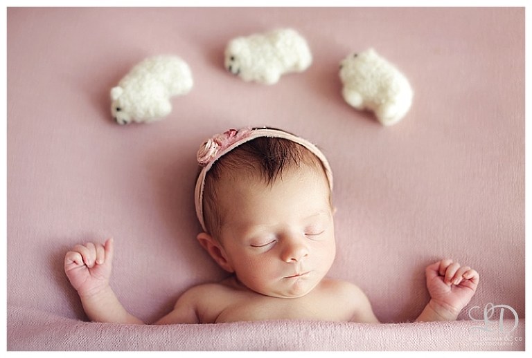 newborn photoshoot-home newborn-lori dorman photography-family photography-children photography_1093.jpg