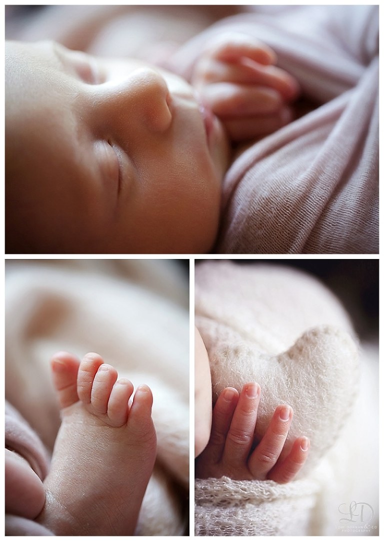 newborn photoshoot-home newborn-lori dorman photography-family photography-children photography_1094.jpg