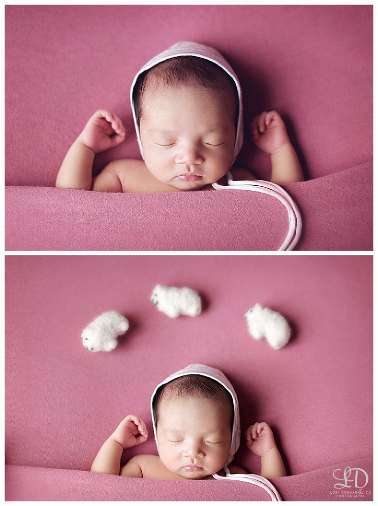 sweet newborn photoshoot-professional photographer-lori dorman photography_1203.jpg