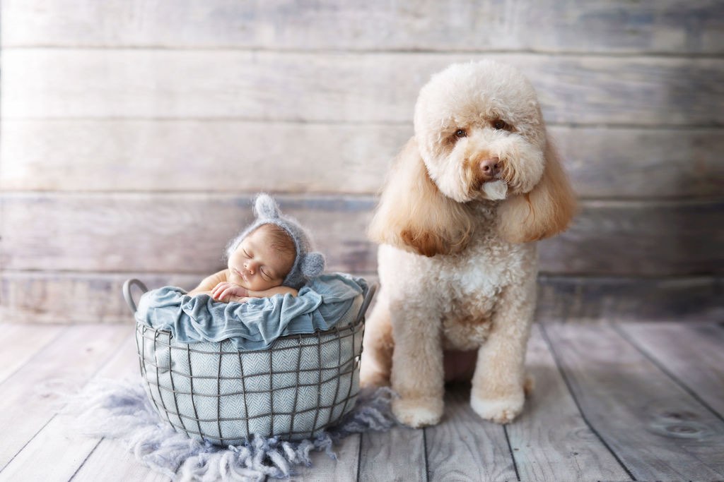 Lori Dorman Los Angeles Newborn Photography Session